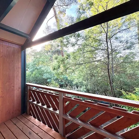 Triplex Niche Dans Les Pins * Леж-Кап-Ферре